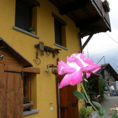 B&B Il Torchio Saint-Vincent Kültér fotó